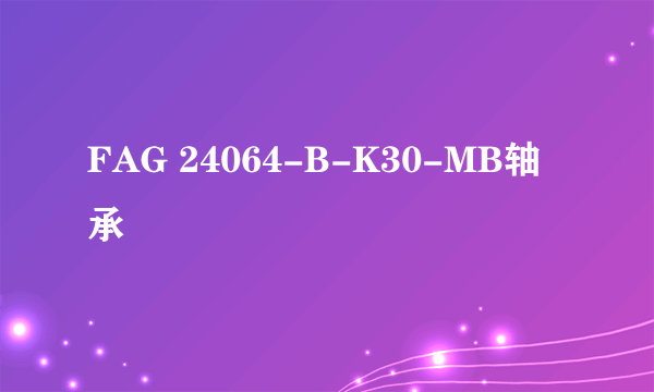 FAG 24064-B-K30-MB轴承