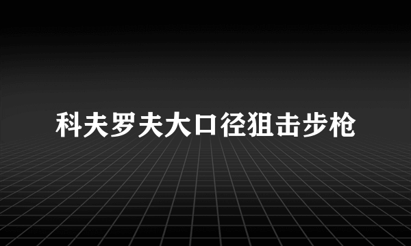 科夫罗夫大口径狙击步枪