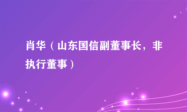 肖华（山东国信副董事长，非执行董事）