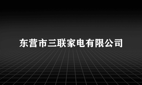 东营市三联家电有限公司