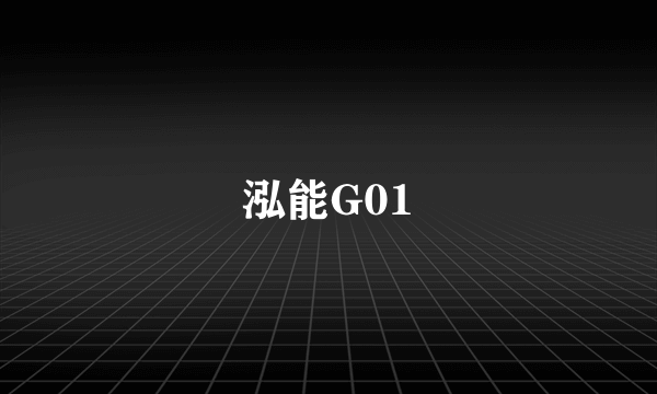 泓能G01