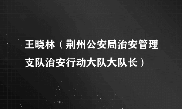 王晓林（荆州公安局治安管理支队治安行动大队大队长）