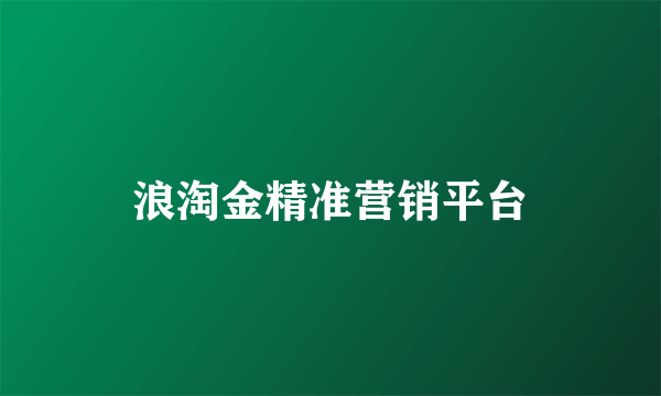 浪淘金精准营销平台