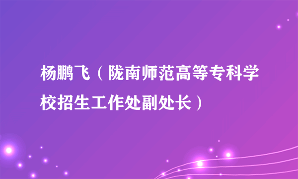 杨鹏飞（陇南师范高等专科学校招生工作处副处长）