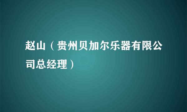 赵山（贵州贝加尔乐器有限公司总经理）