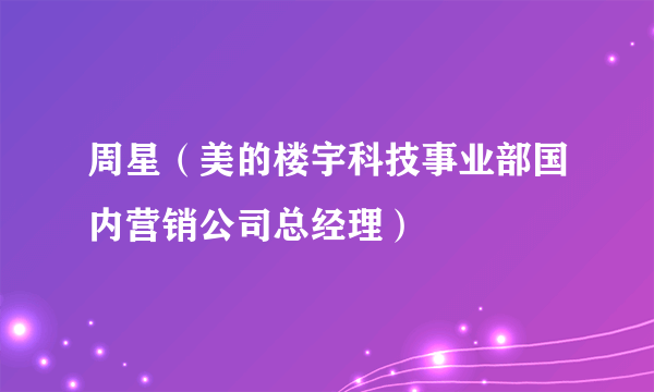 周星（美的楼宇科技事业部国内营销公司总经理）