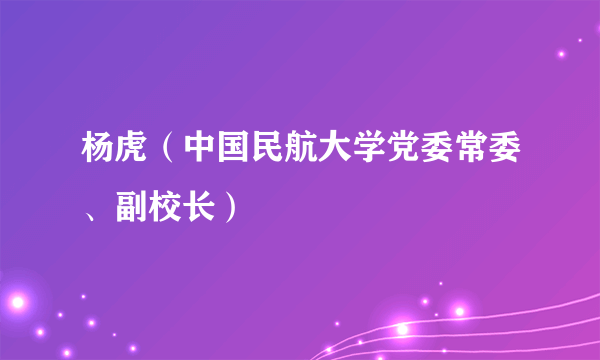 杨虎（中国民航大学党委常委、副校长）