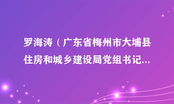 罗海涛（广东省梅州市大埔县住房和城乡建设局党组书记、局长）