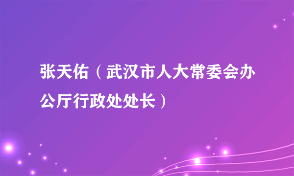 张天佑（武汉市人大常委会办公厅行政处处长）