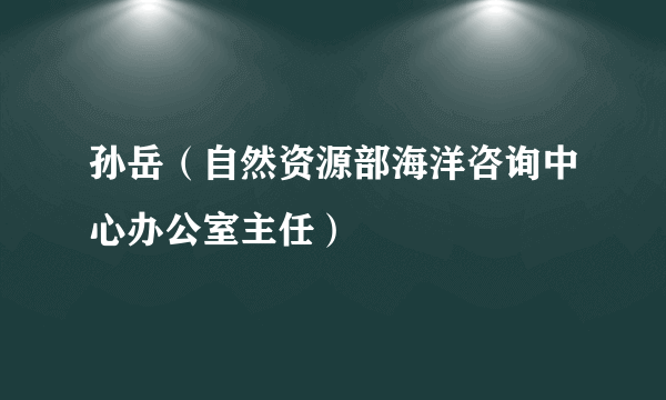 孙岳（自然资源部海洋咨询中心办公室主任）