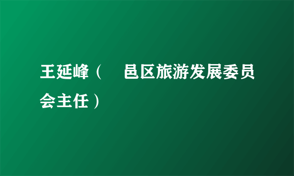 王延峰（鄠邑区旅游发展委员会主任）