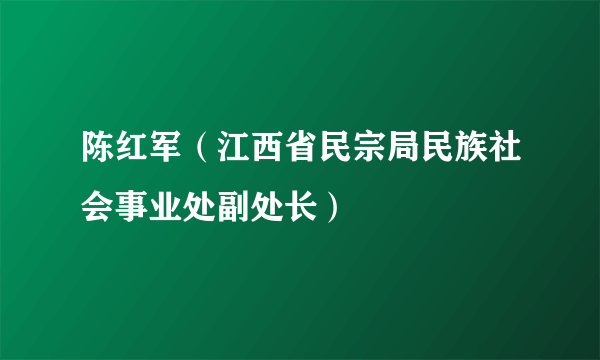 陈红军（江西省民宗局民族社会事业处副处长）