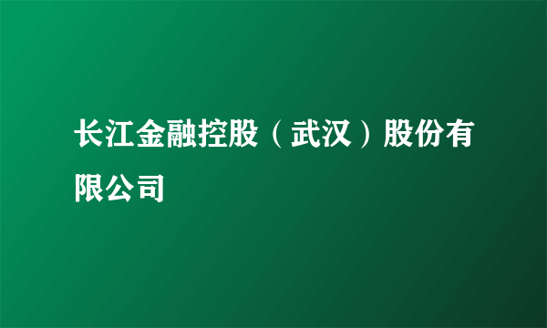 长江金融控股（武汉）股份有限公司