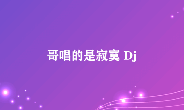 哥唱的是寂寞 Dj