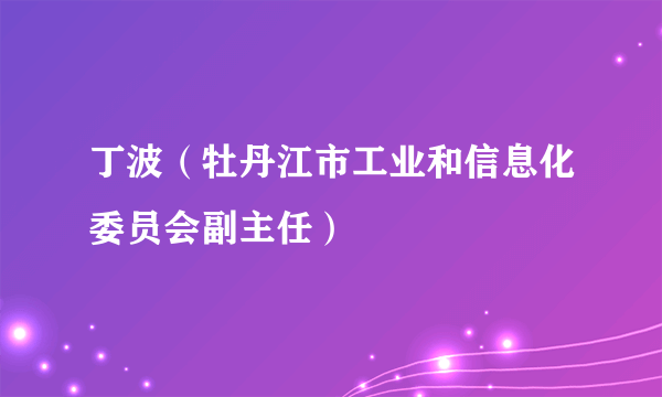 丁波（牡丹江市工业和信息化委员会副主任）