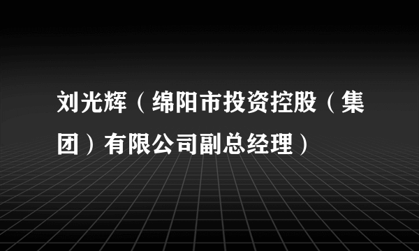 刘光辉（绵阳市投资控股（集团）有限公司副总经理）