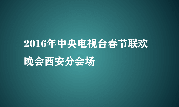 2016年中央电视台春节联欢晚会西安分会场