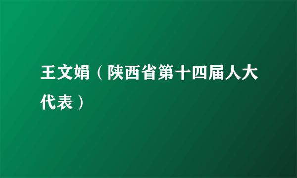 王文娟（陕西省第十四届人大代表）