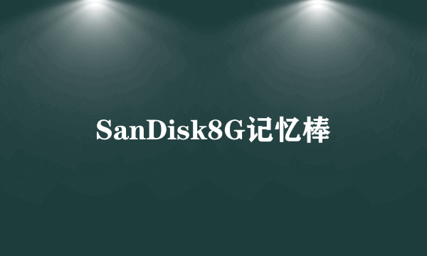 SanDisk8G记忆棒