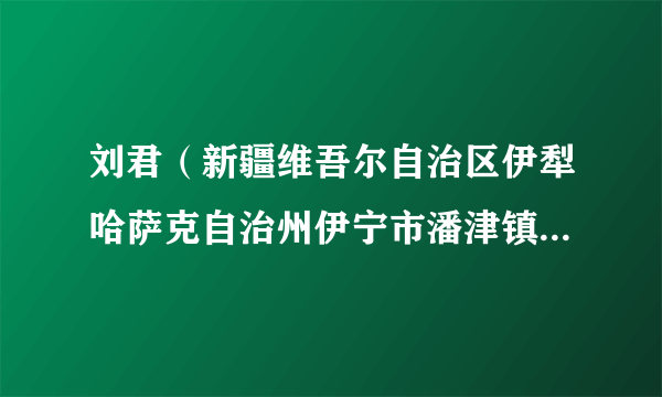 刘君（新疆维吾尔自治区伊犁哈萨克自治州伊宁市潘津镇党委书记）