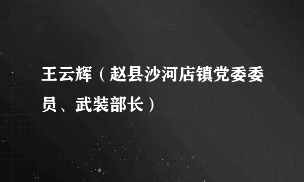 王云辉（赵县沙河店镇党委委员、武装部长）