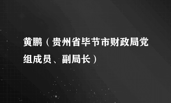 黄鹏（贵州省毕节市财政局党组成员、副局长）