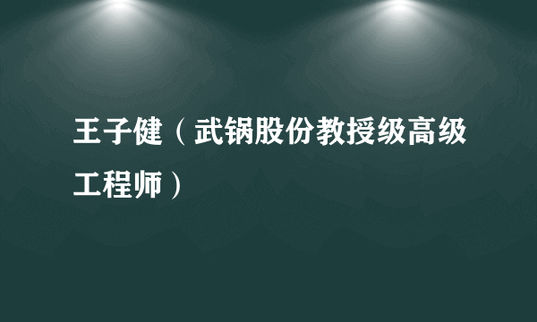 王子健（武锅股份教授级高级工程师）