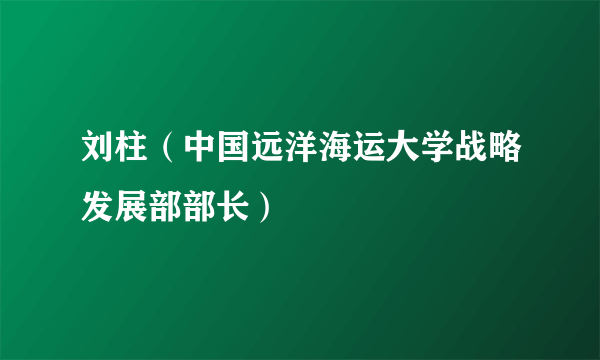 刘柱（中国远洋海运大学战略发展部部长）