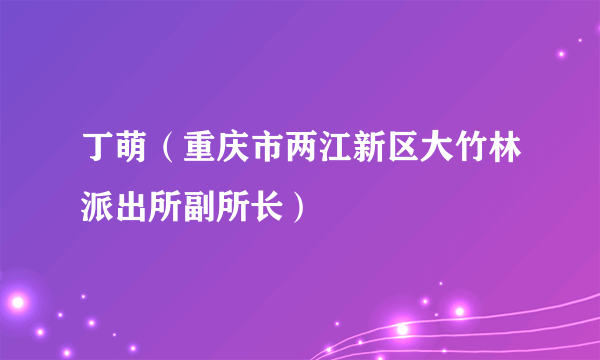 丁萌（重庆市两江新区大竹林派出所副所长）