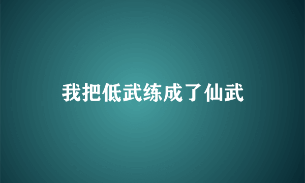 我把低武练成了仙武