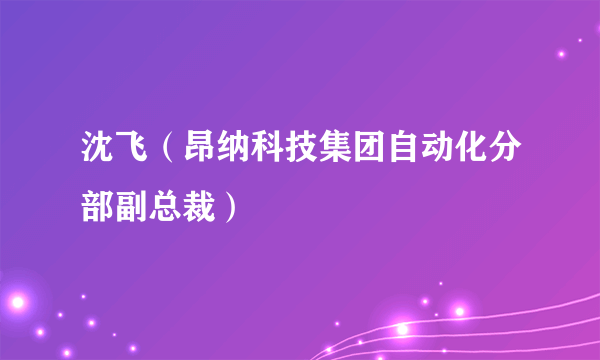 沈飞（昂纳科技集团自动化分部副总裁）