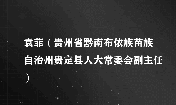 袁菲（贵州省黔南布依族苗族自治州贵定县人大常委会副主任）