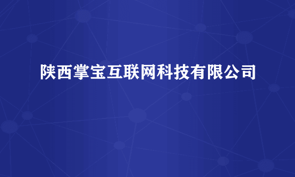 陕西掌宝互联网科技有限公司