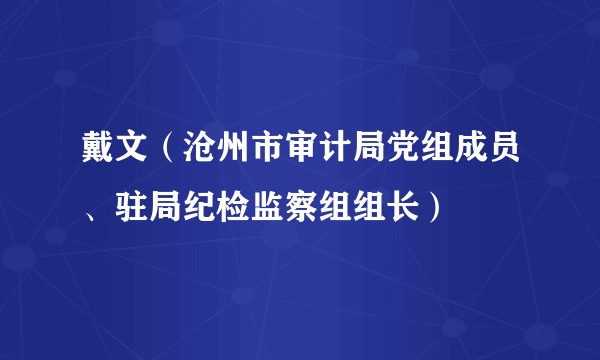 戴文（沧州市审计局党组成员、驻局纪检监察组组长）