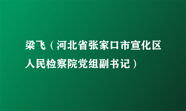 梁飞（河北省张家口市宣化区人民检察院党组副书记）