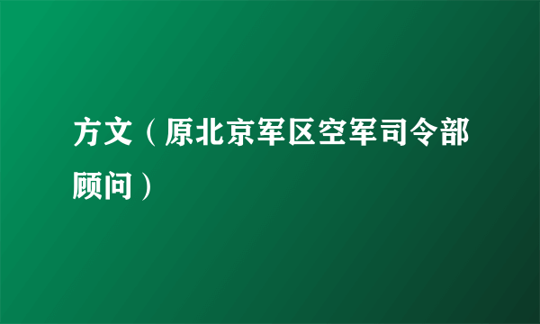 方文（原北京军区空军司令部顾问）