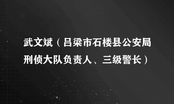 武文斌（吕梁市石楼县公安局刑侦大队负责人、三级警长）