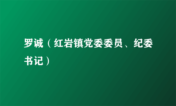 罗诚（红岩镇党委委员、纪委书记）