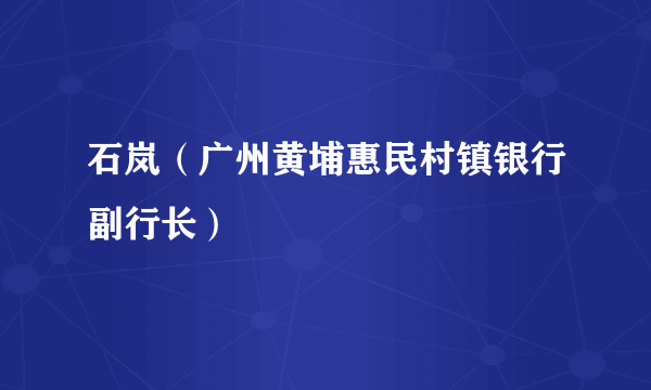 石岚（广州黄埔惠民村镇银行副行长）