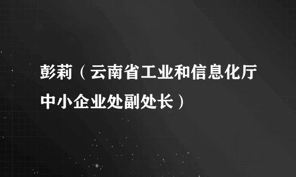 彭莉（云南省工业和信息化厅中小企业处副处长）