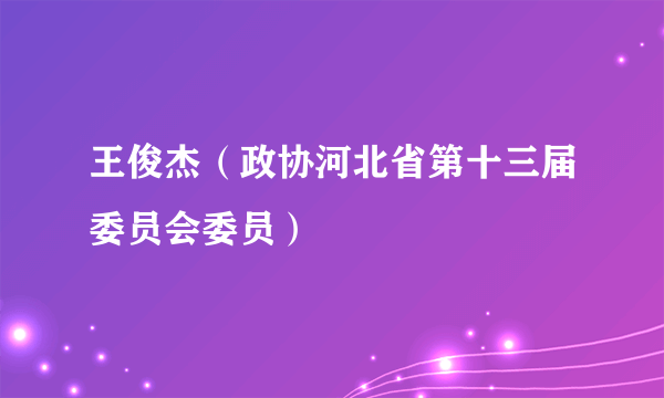 王俊杰（政协河北省第十三届委员会委员）