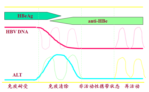 小三阳