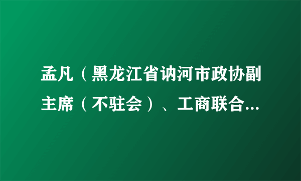 孟凡（黑龙江省讷河市政协副主席（不驻会）、工商联合会主席）