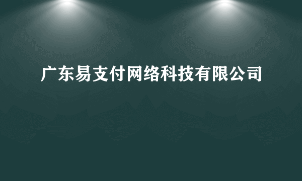 广东易支付网络科技有限公司