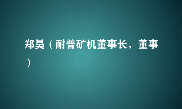 郑昊（耐普矿机董事长，董事）