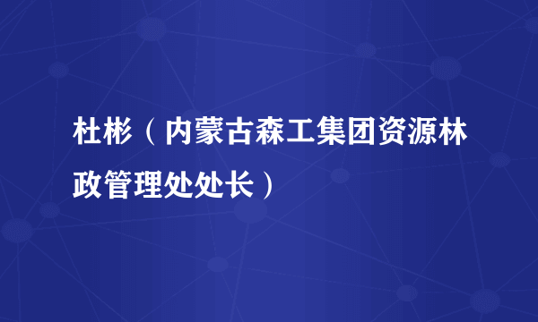 杜彬（内蒙古森工集团资源林政管理处处长）