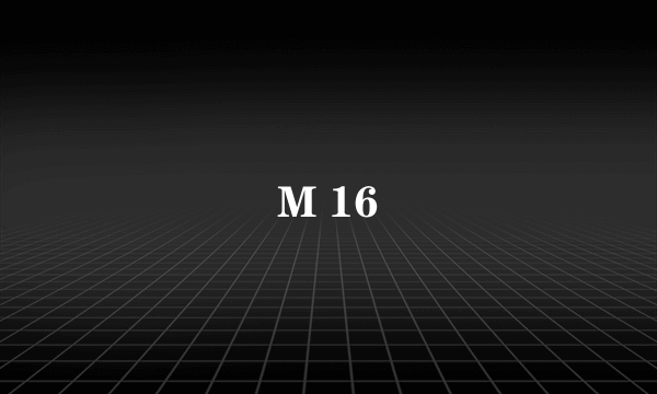 M 16