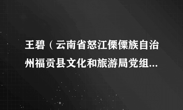 王碧（云南省怒江傈僳族自治州福贡县文化和旅游局党组书记局长）