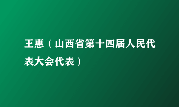 王惠（山西省第十四届人民代表大会代表）