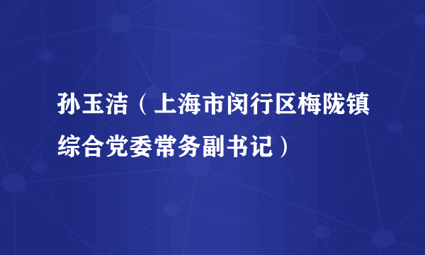 孙玉洁（上海市闵行区梅陇镇综合党委常务副书记）